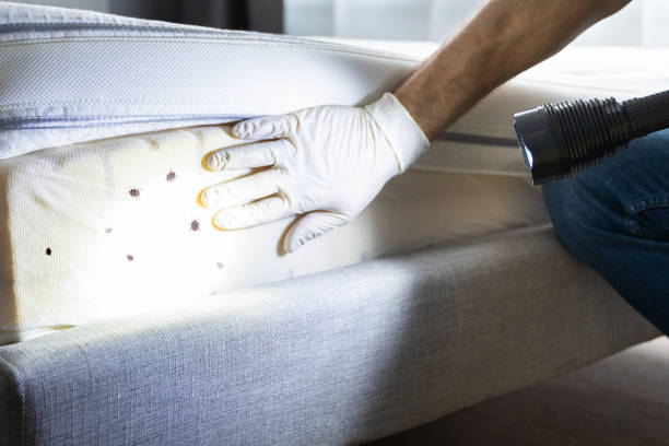 Best Pest Prevention Services  in Syracuse, IN