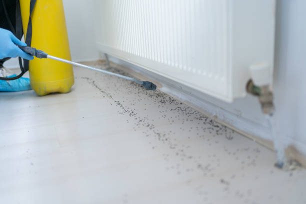 Reliable Syracuse, IN Pest Control Solutions