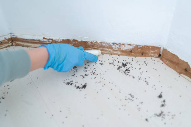 Insect Control in Syracuse, IN