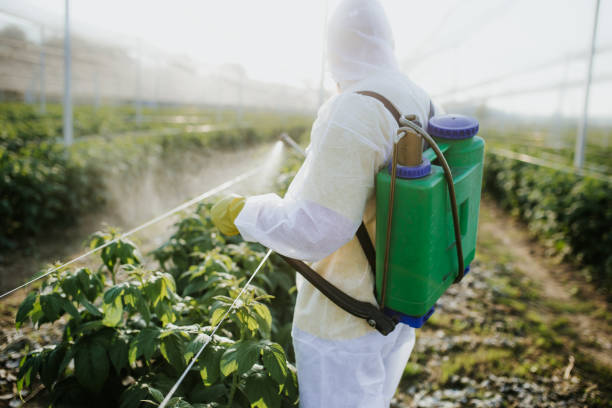 Best Emergency Pest Control  in Syracuse, IN